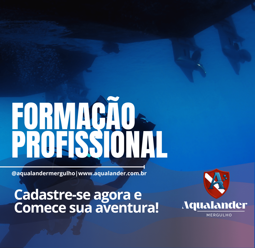 FORMAÇÃO PROFISSIONAL