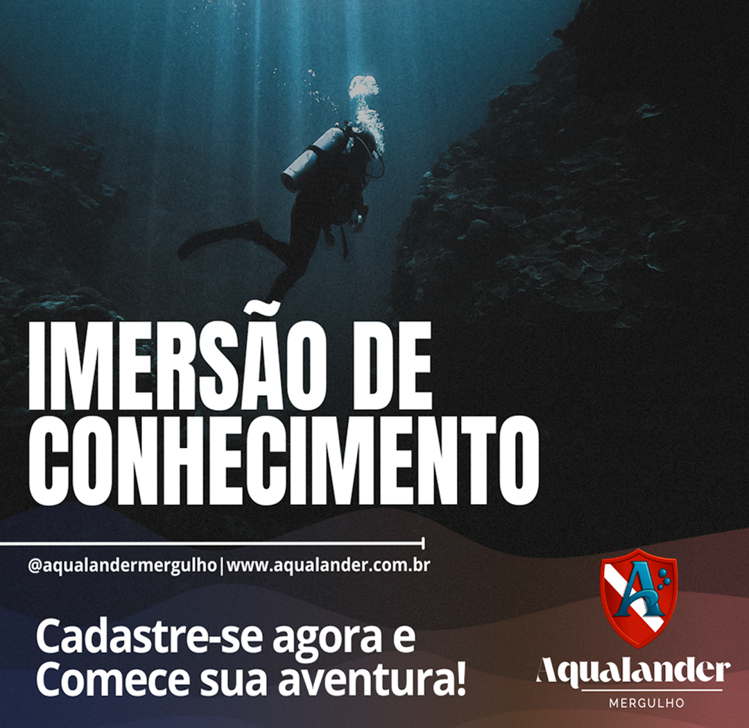 IMERSÃO DE CONHECIMENTO