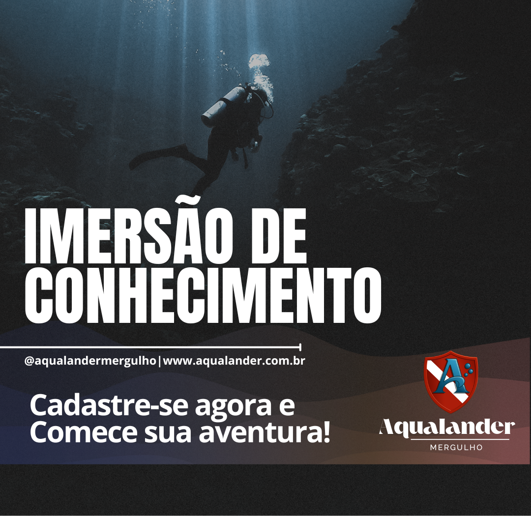 IMERSÃO DE CONHECIMENTO